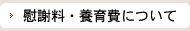 慰謝料・養育費について